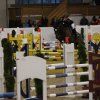 Jennifer Tiller - Gut Ising 2016 3. Platz