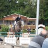 Turnier vom 13. & 14.05.2017 Reitverein Rosenheim