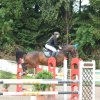Turnier vom 13. & 14.05.2017 Reitverein Rosenheim