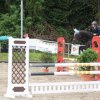 Turnier vom 13. & 14.05.2017 Reitverein Rosenheim