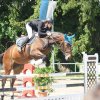 Turnier vom 13. & 14.05.2017 Reitverein Rosenheim