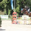 Turnier vom 13. & 14.05.2017 Reitverein Rosenheim