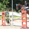 Turnier vom 13. & 14.05.2017 Reitverein Rosenheim