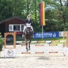 Turnier vom 13. & 14.05.2017 Reitverein Rosenheim