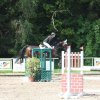 Turnier vom 13. & 14.05.2017 Reitverein Rosenheim