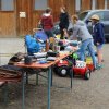 Tag der offenen Stalltuer 2018 - Komm zum Pferd!