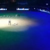 Amadeus Horse Indoors 2017