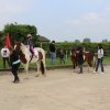 Tag der offenen Stalltuer 2018 - Komm zum Pferd!